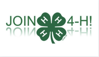 GC 4-H