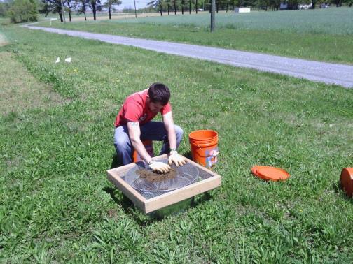 Separating soil from roots and debris prior to transport to greenhouse