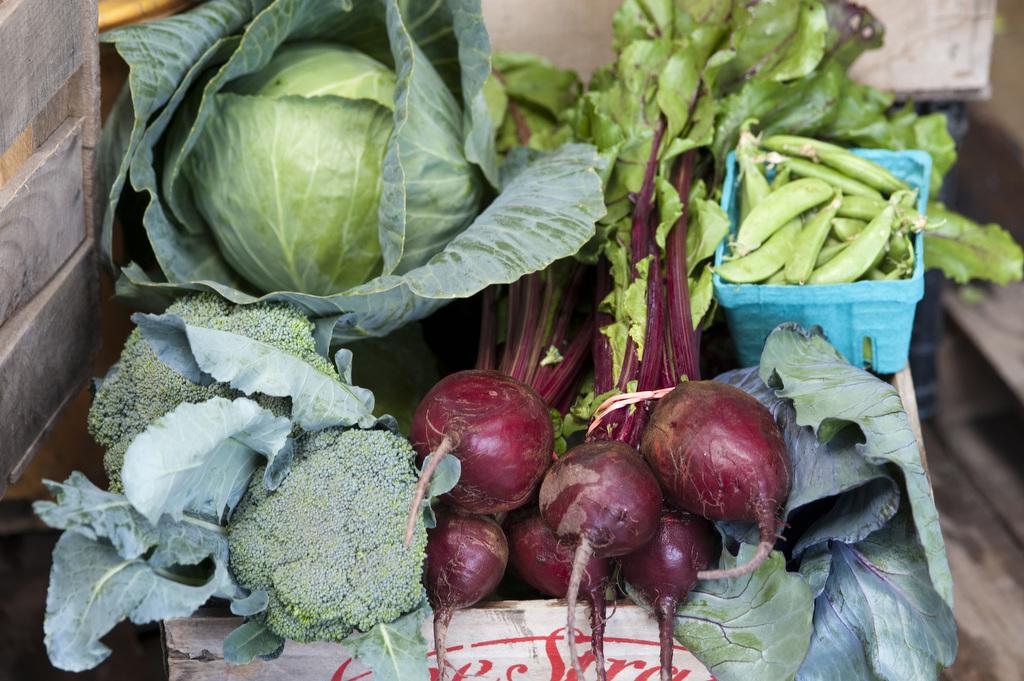 vegetables credit UMD AGNR.JPG