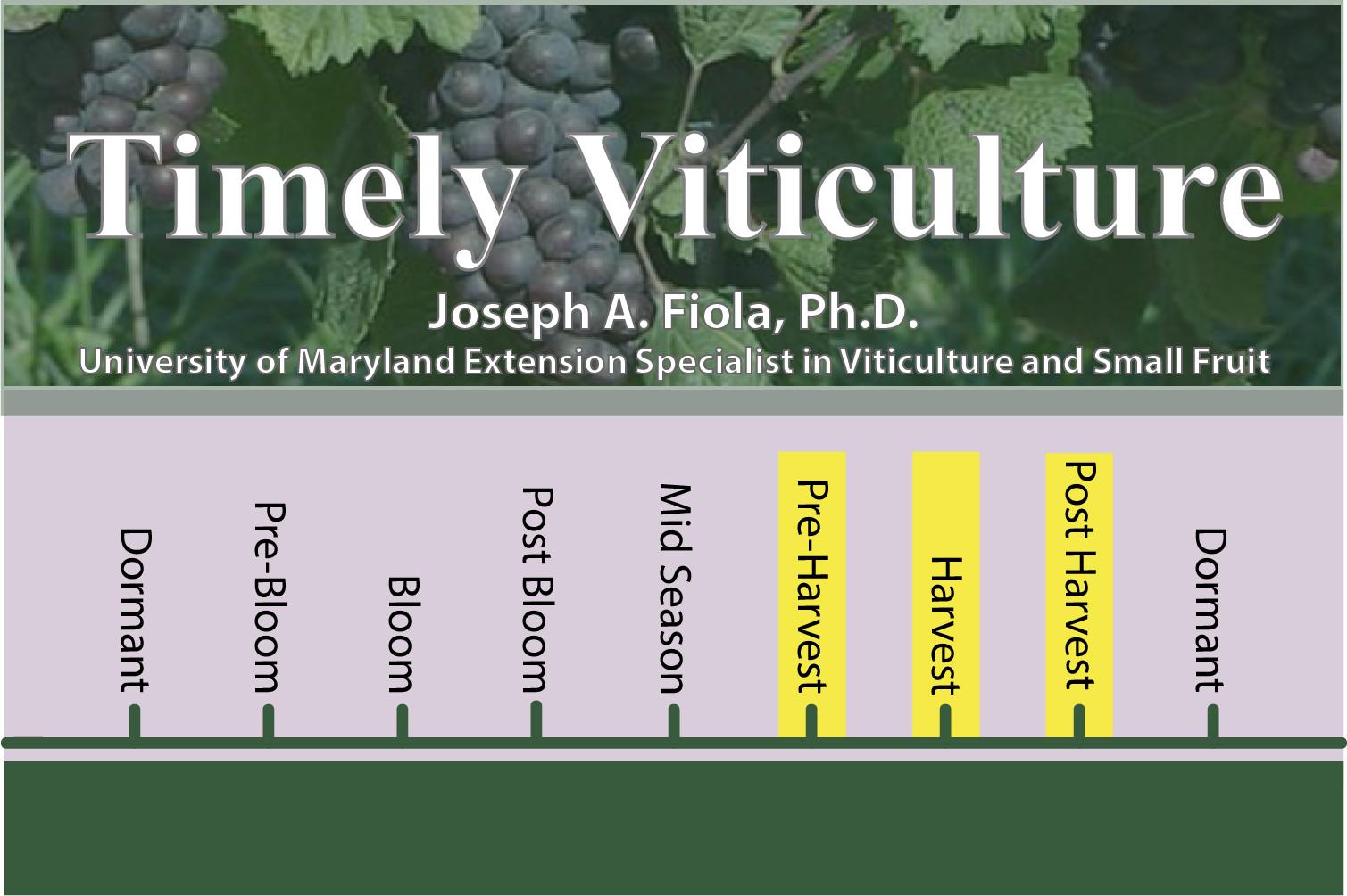 Timely Viticulture Timeline: Pre-Harvest, Harvest, and Post Harvest