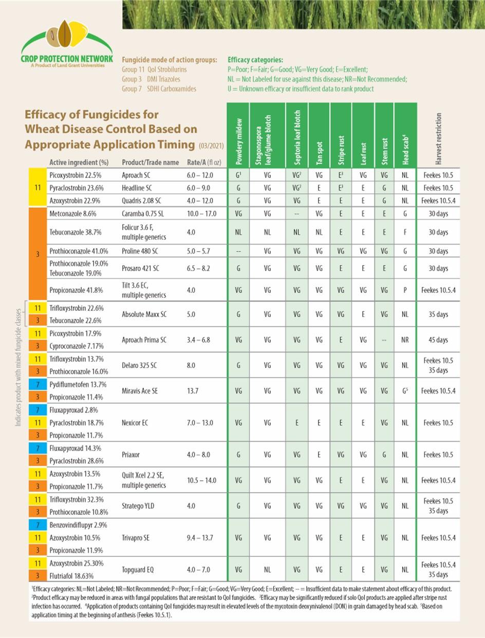 Fungicide Efficacy for Control of Wheat Diseases