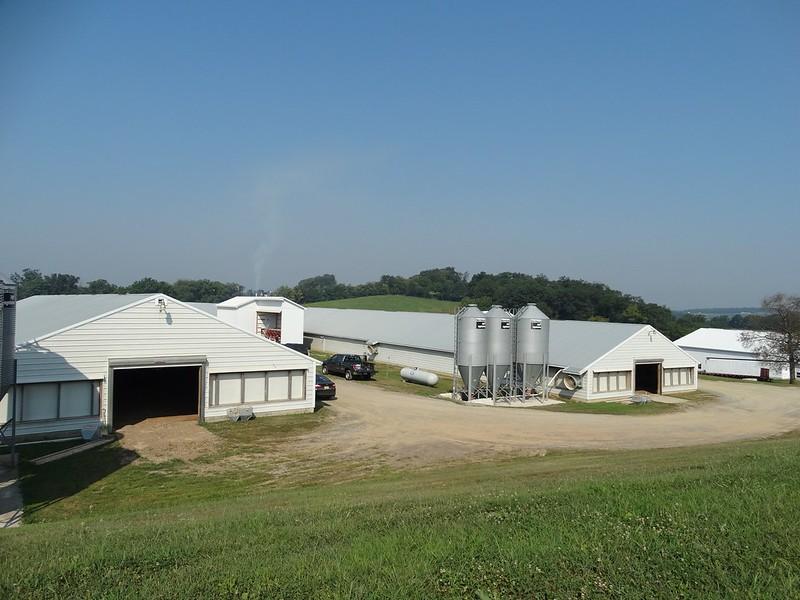 Image of poultry houses by Livestock & Poultry Environmental Learning Center