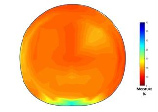 Figure 1. Moisture distribution of an alfalfa round bale stored under roof in open front hay shed. Note the wicking of moisture in the bottom portion of the bale. Source: Bauder et al., 2020