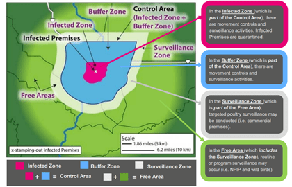 Control area showing infected zone, buffer zone, surveillance zone, and free zone.