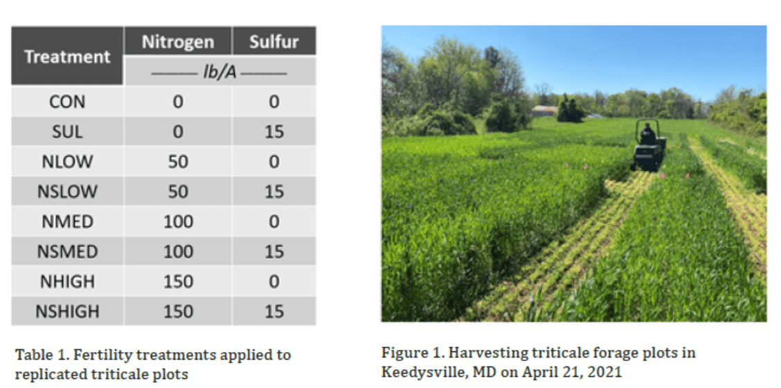 Research Update: Effect of Soil Fertility on Triticale Yield and ...