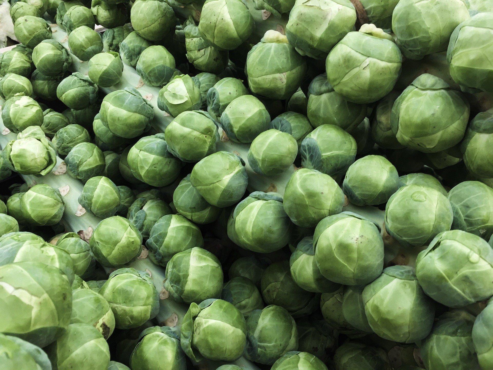 fresh Brussels sprouts