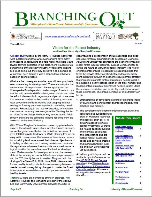 Cover of the Fall 2020 Branching Out newsletter  - November, 2020 issue