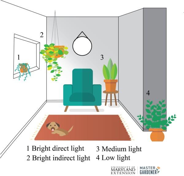 indoor plant lighting