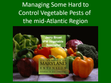 Managing Some Hard to Control Vegetable Pests