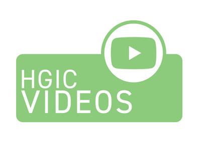 HGIC videos youtube card image