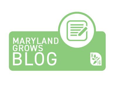 Maryland Grows Blog card image
