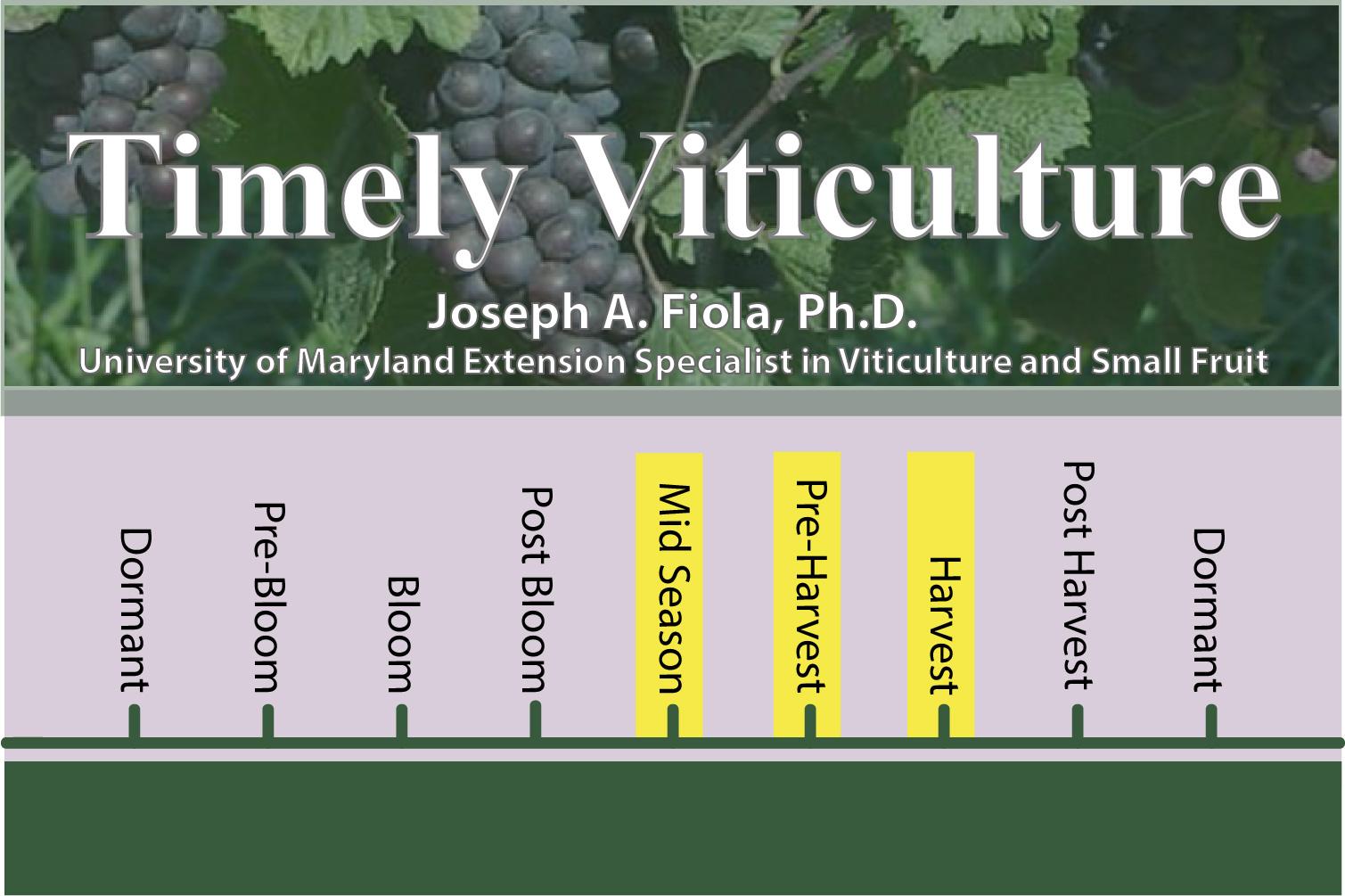 Timely Viticulture Timeline: Mid Season, Pre-Harvest, and Harvest