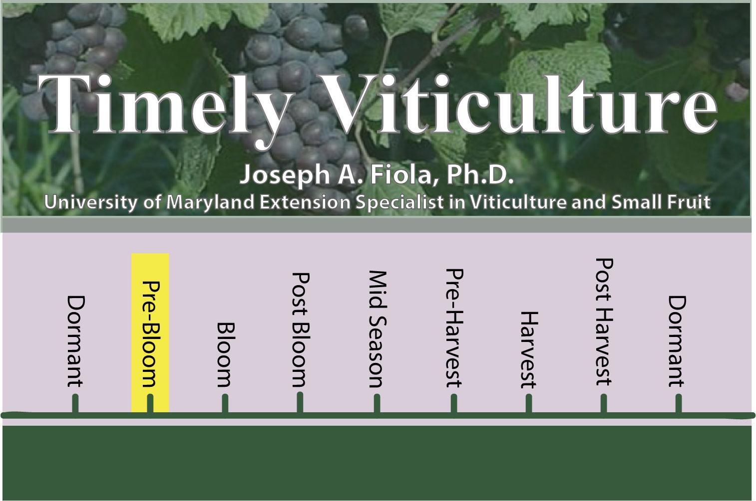 Timely Viticulture Timeline: Pre-Bloom