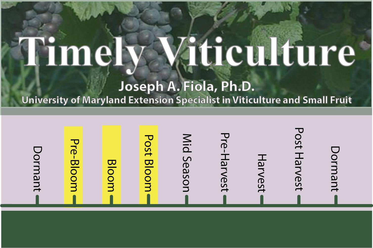 Timely Viticulture Timeline: Pre-Bloom, Bloom, and Post Bloom