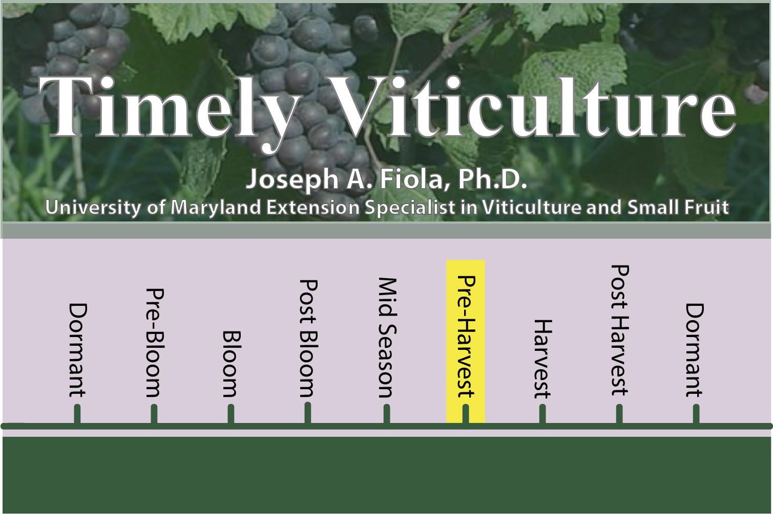 Timely Viticulture Timeline: Pre-Harvest