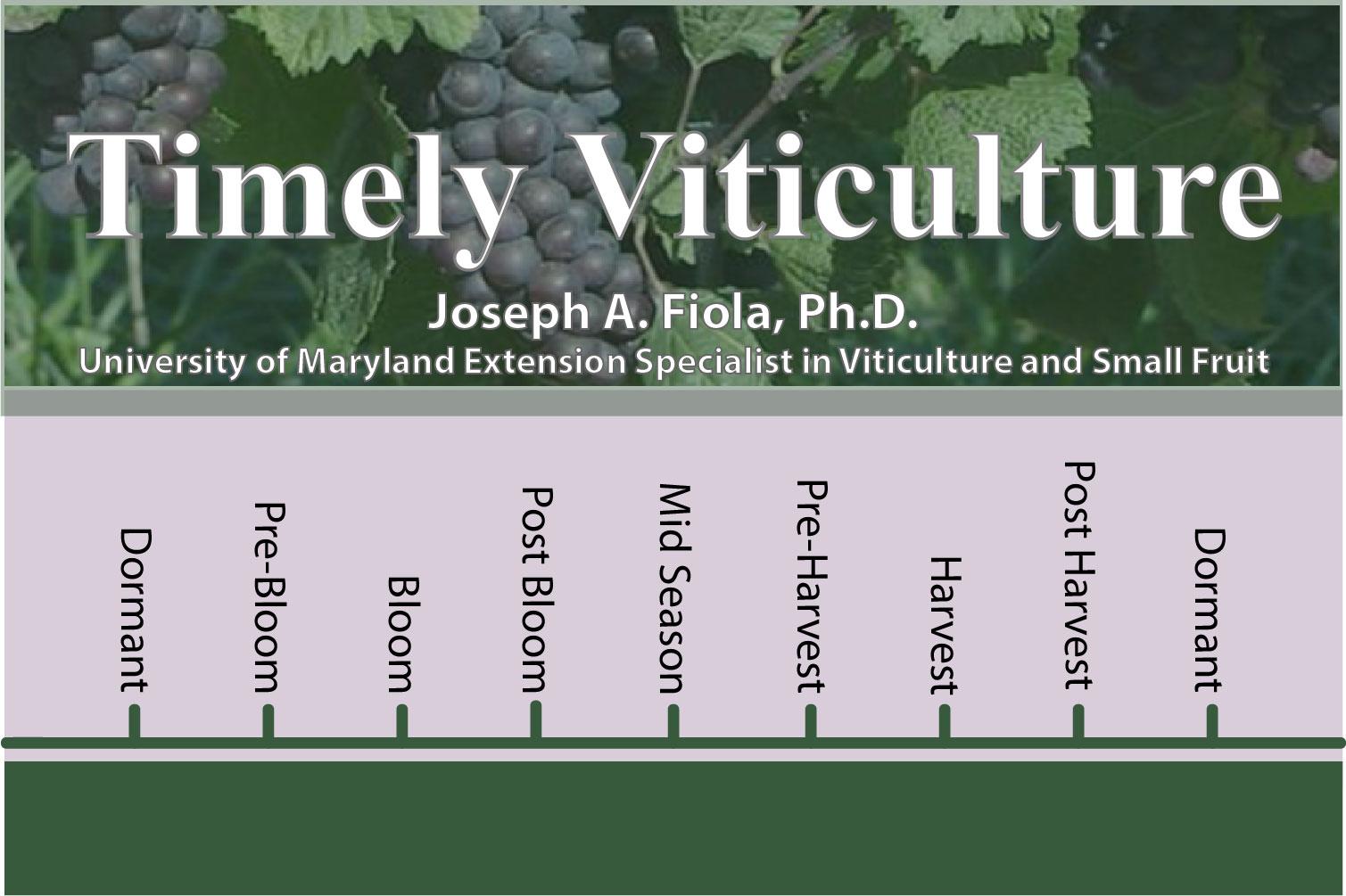 Timely Viticulture Timeline