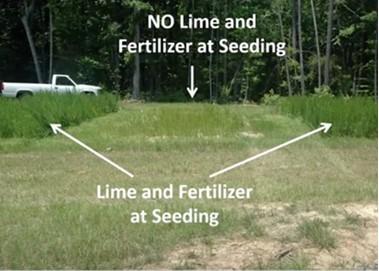 Forage seeding and nutrient demonstration