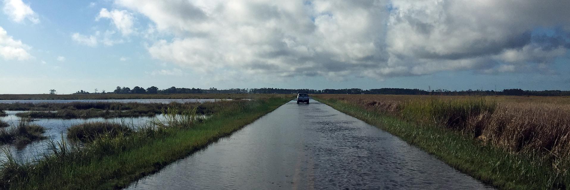 Image of flooding on Maple Dam Road in Dorchester County, Maryland
