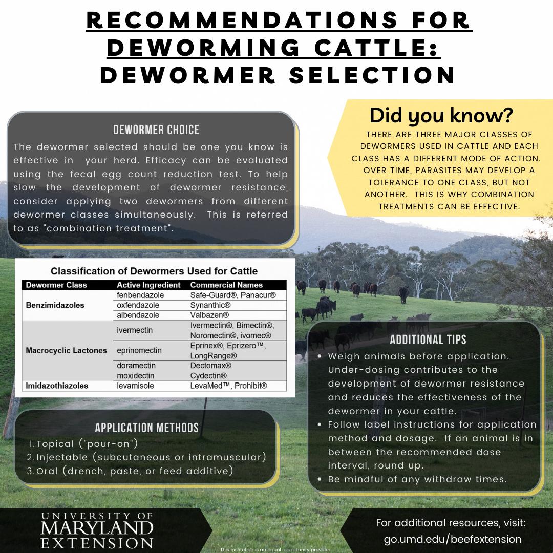 Infographic Recommendations For Deworming Cattle: Dewormer Selection