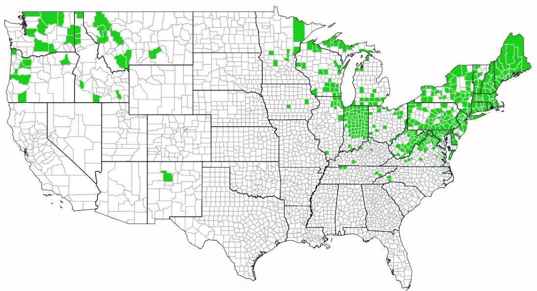 Current distribution of Norway maple.  (eddmaps.org)