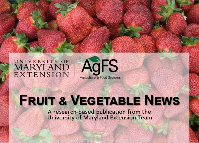 Fruit and Vegetable News April 2022 header