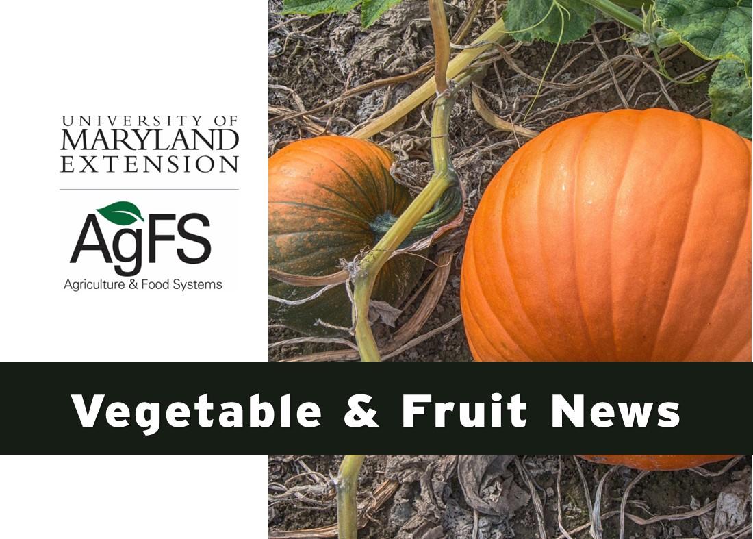 Vegetable and Fruit News newsletter header