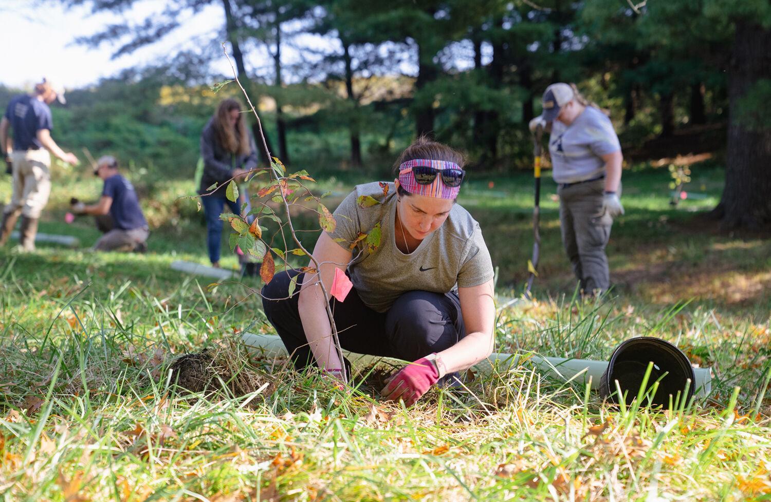 volunteer works with the Alliance for the Chesapeake Bay to plant a streamside buffer in Lancaster County, PA. Photo by Eric Braker, Alliance for the Chesapeake Bay