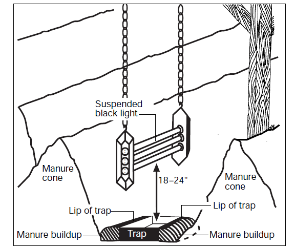 Graphic of black light pitfall traps