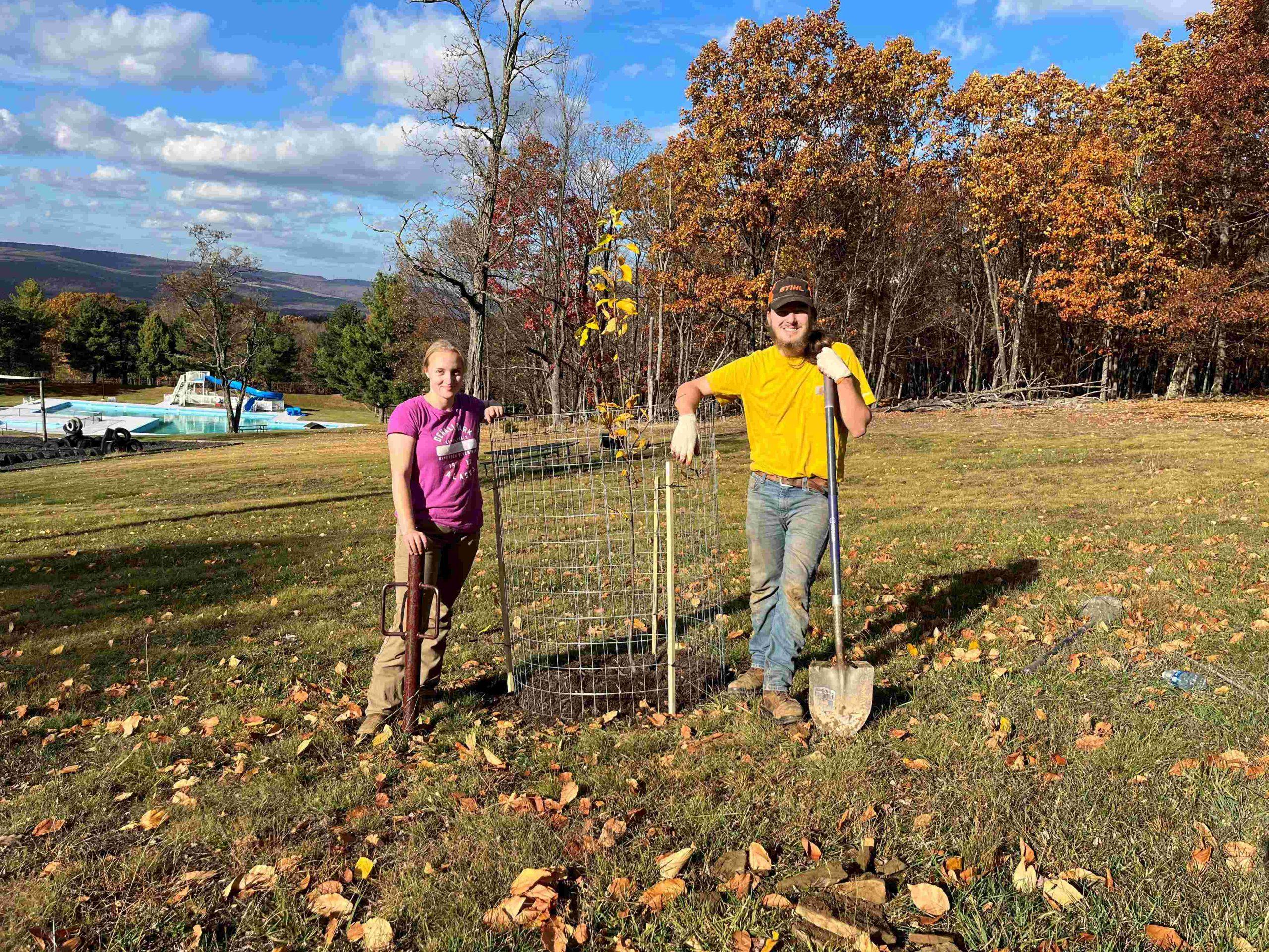 Students from Allegany College’s Forestry Program participate in a tree planting at Dans Mountain State Park.  Maryland DNR photo. 