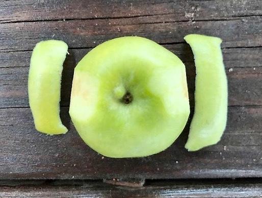 A small green apple with a peel removed from each to two sides