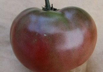 Fig.1: Cherokee Purple heirloom tomato