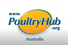 Poultry hub logo