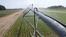 irrigation system