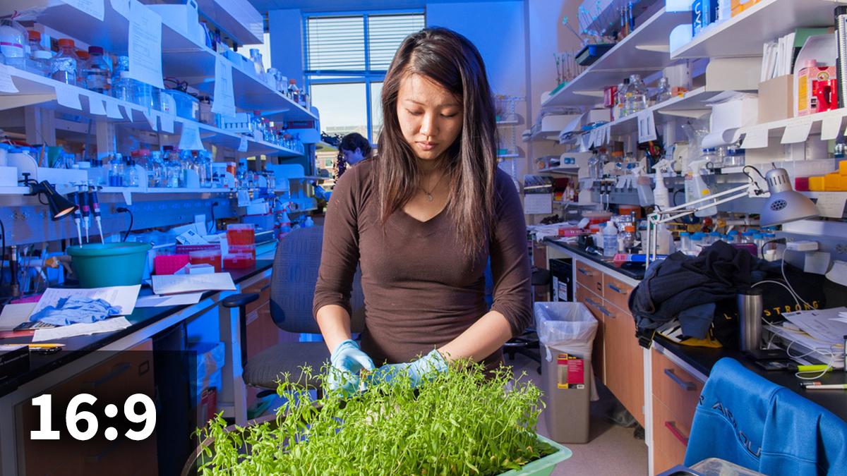 16:9 aspect ratio image