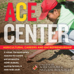 ACE Virtual Center