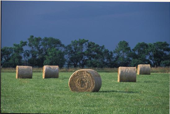 A farm field with harvested hay