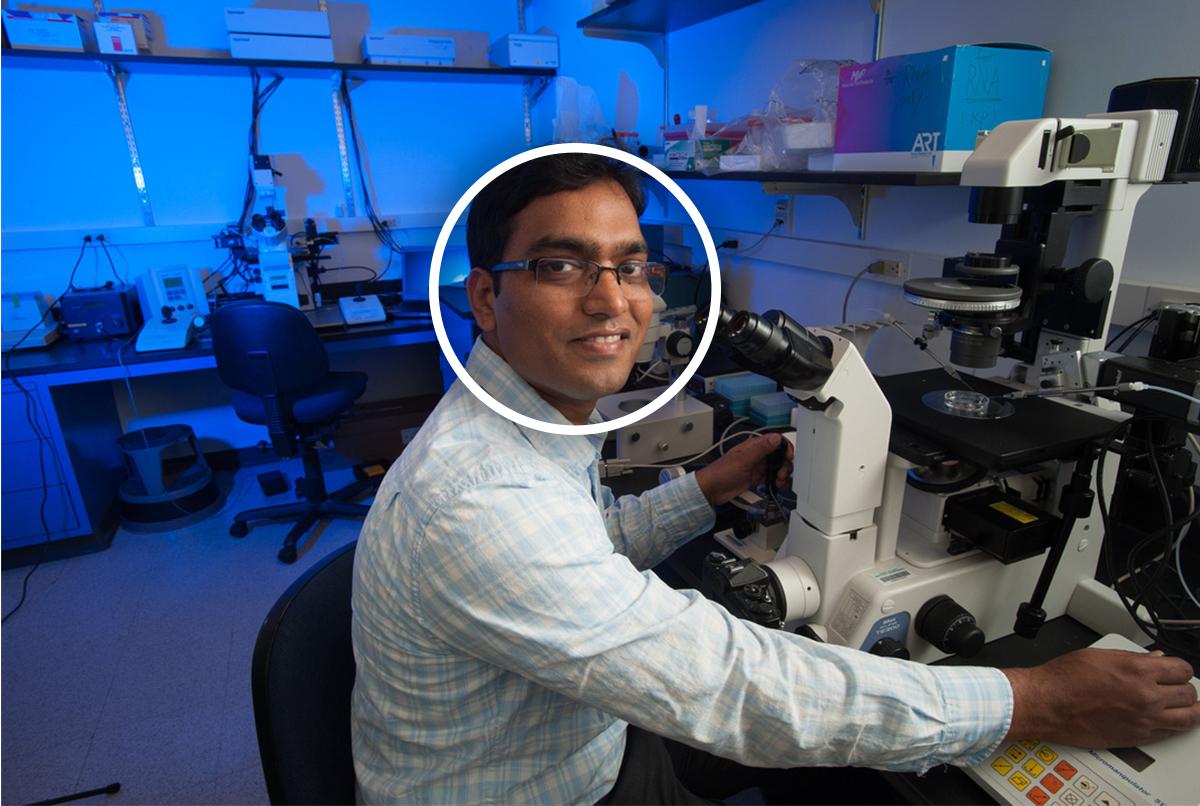 Image showing central focal point