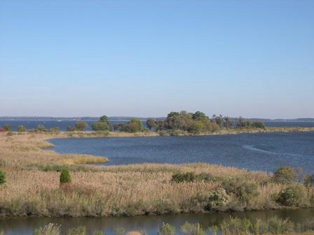 Chesapeake Tidal Wetlands