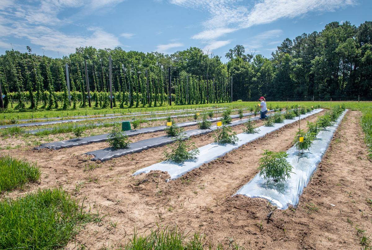 Image with no obvious focal point