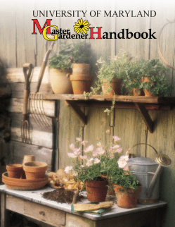 MG Handbook Cover