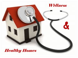 Fostering Healthy Homes