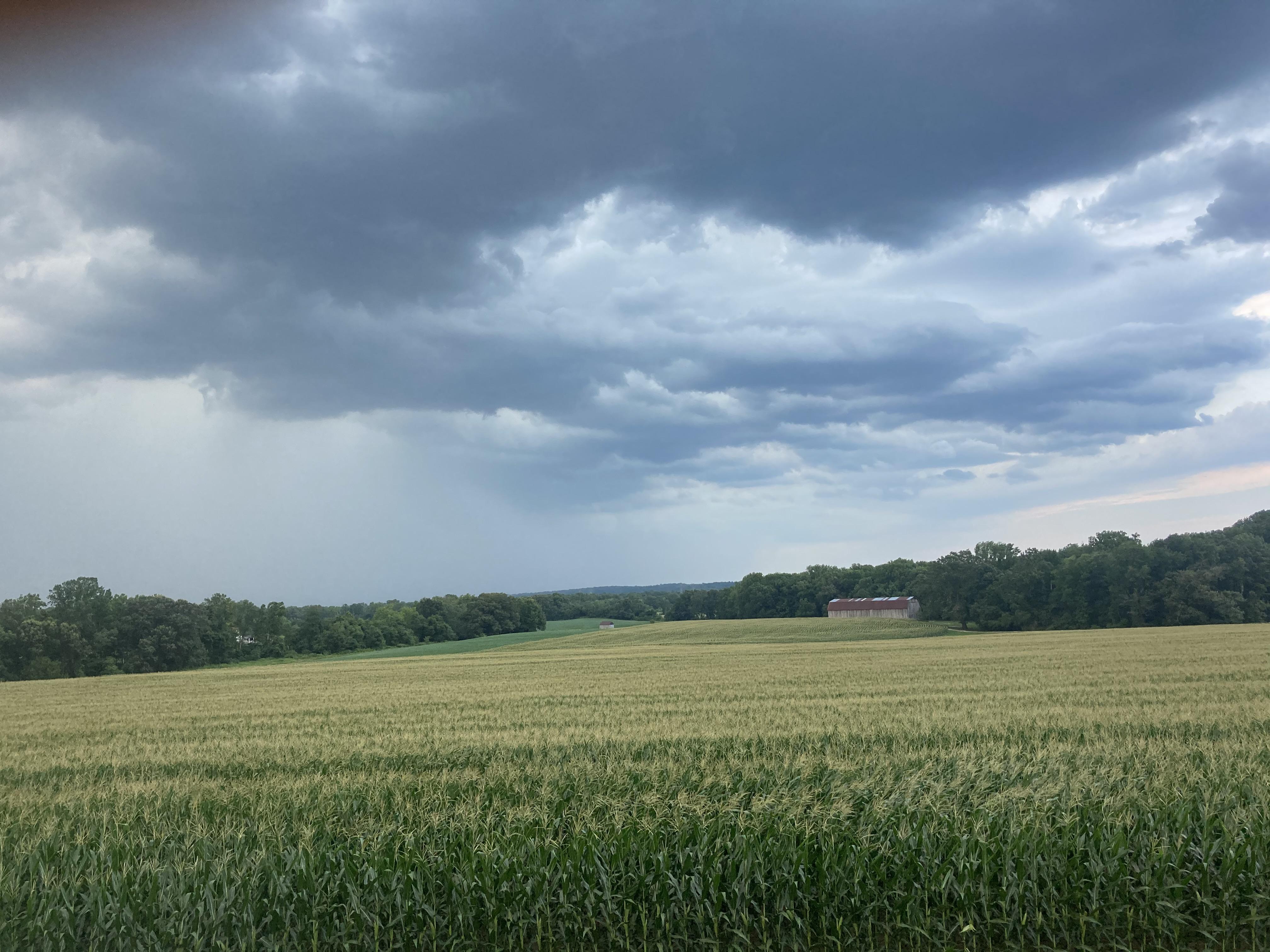 PHoto of a farm field