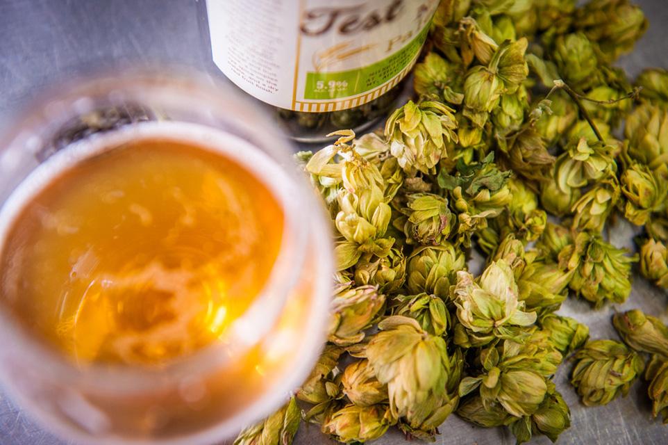 beer made from hops