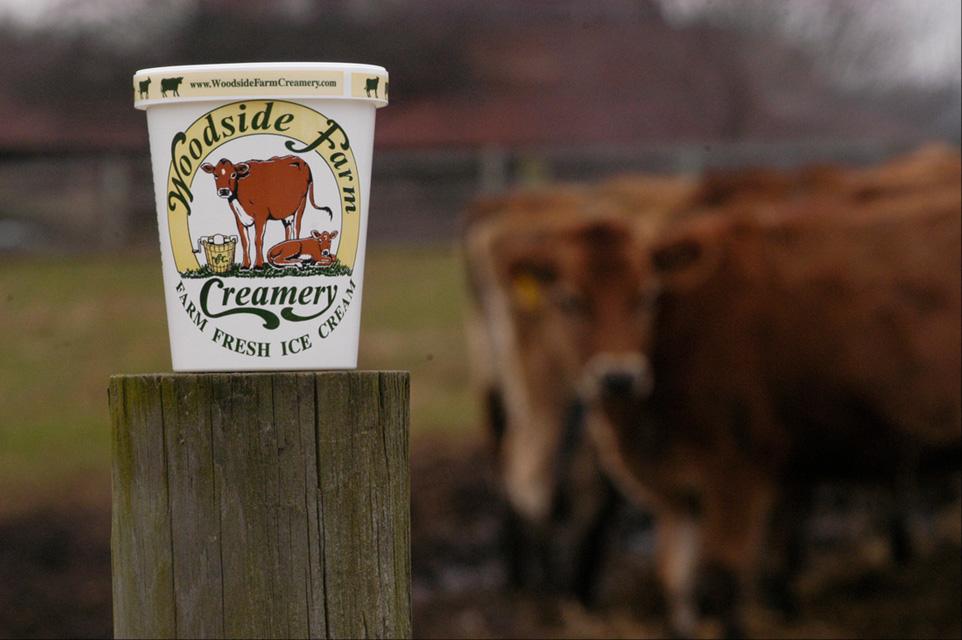 Ice cream container with dairy cow in the background