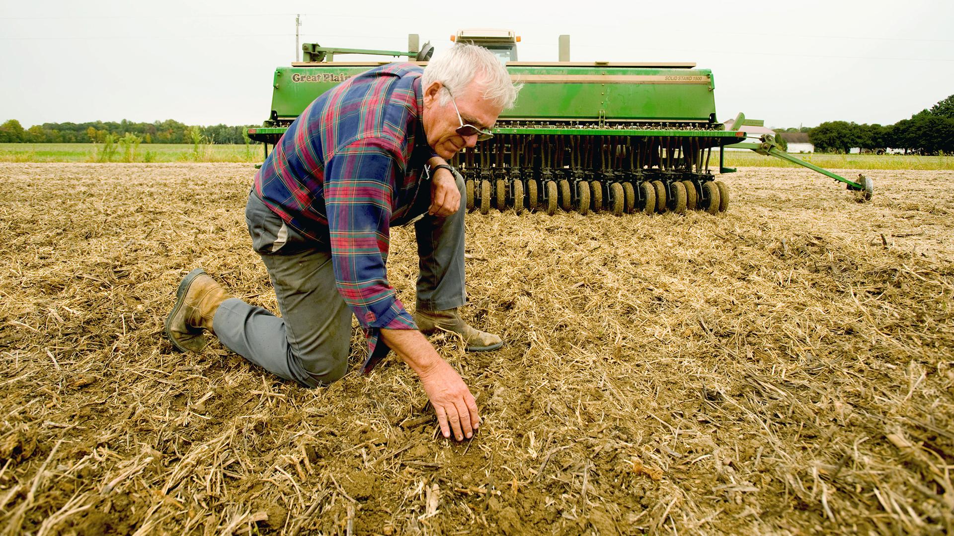 Grain farmer kneels down on field to check soil