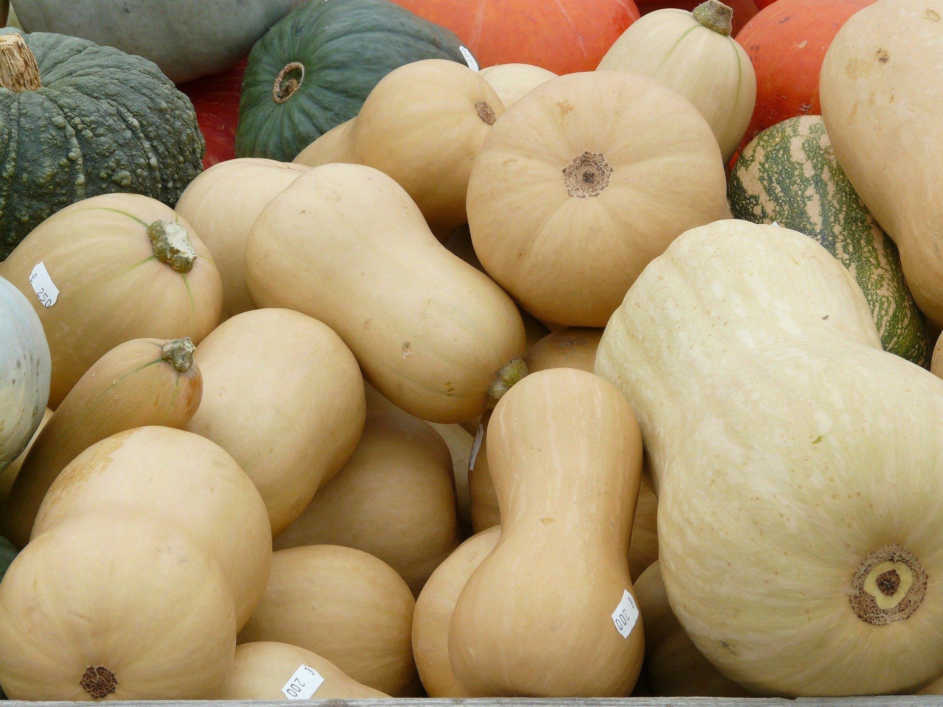 Winter squash deals