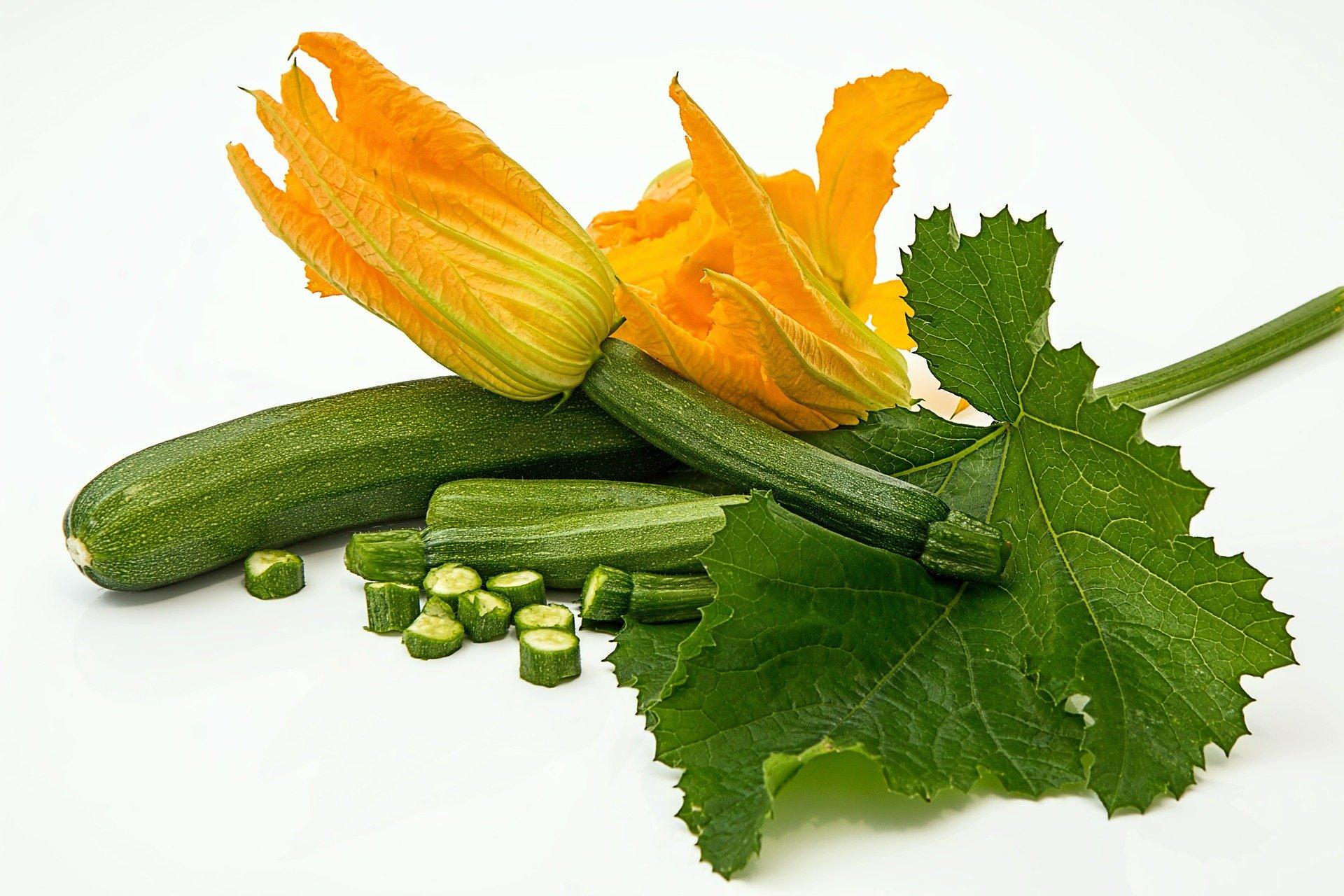 zucchini and zucchini flowers