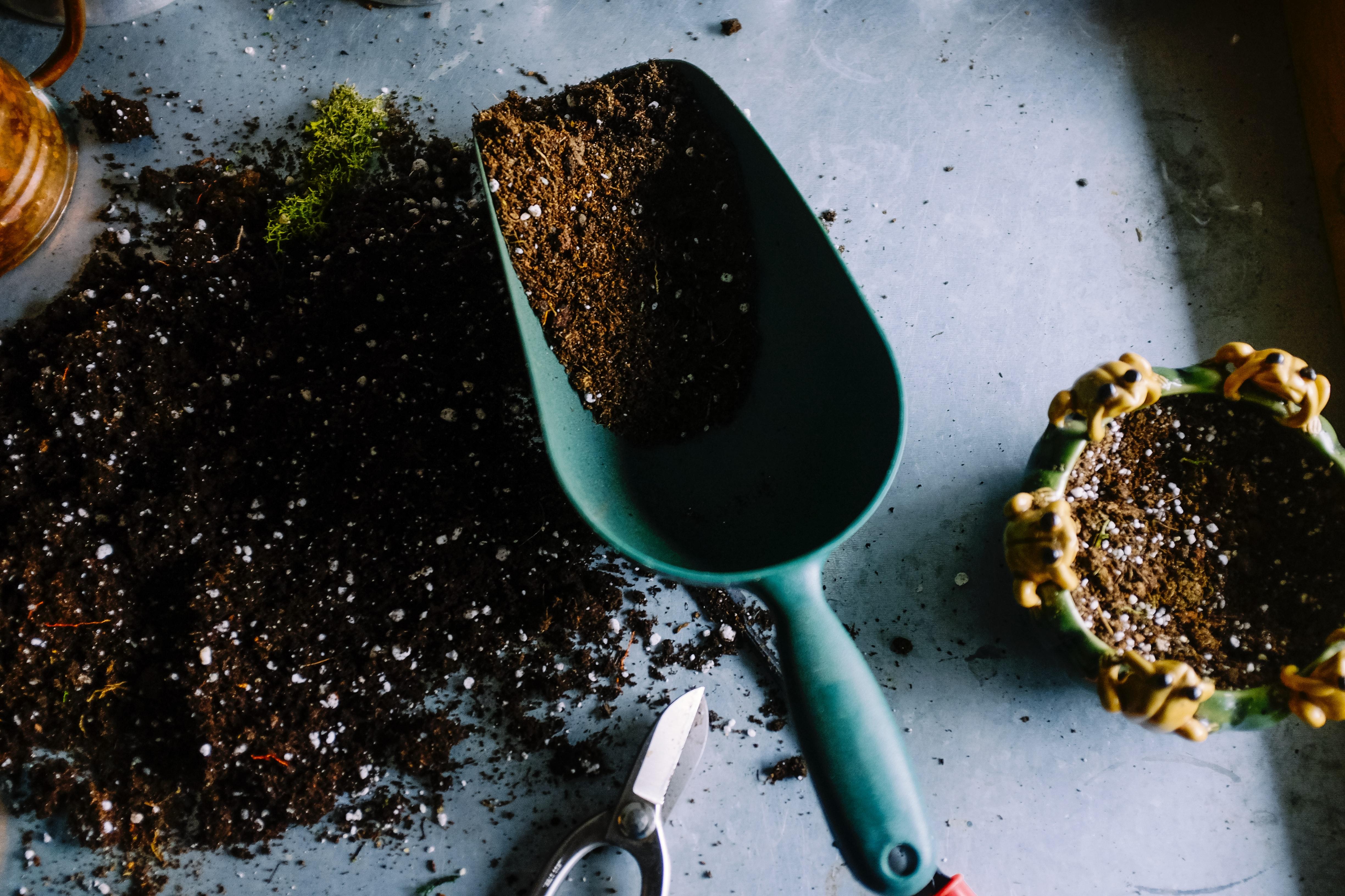 gardening scoop filled with dirt among pots filled with dirt on a table