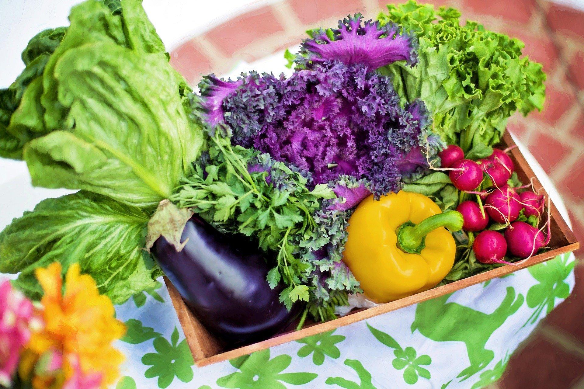 assortment of vegetables in a basket