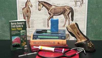 horse_books
